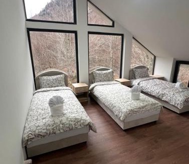 Downtown House | Guest House Ropojan