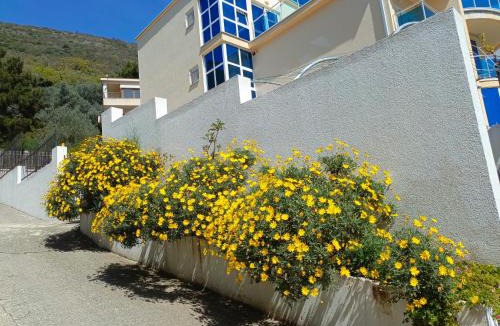 Petrovac House | Guest House Sunny Villa