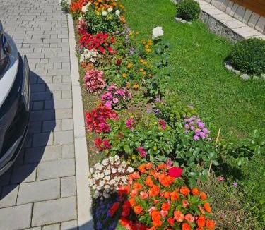 Kolasin House | Guesthouse Sandra