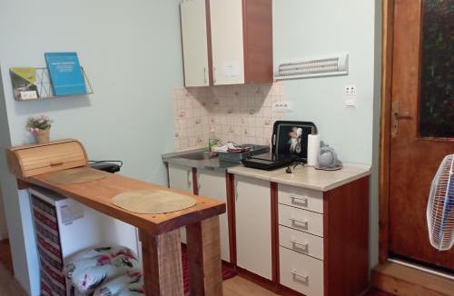 Kolasin House | GUESTHOUSE TARA