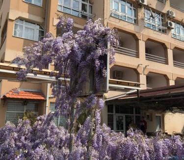 Rafajlovici Bed & Breakfast | Guesthouse Villa Gaga