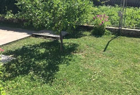 Donje Polje House | Guesthouse Vujacic