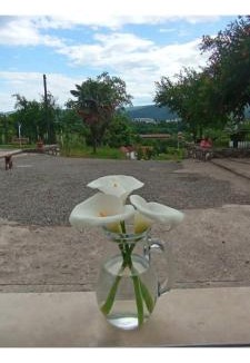 Danilovgrad Apartment | Hacienda Paraiso Escondido