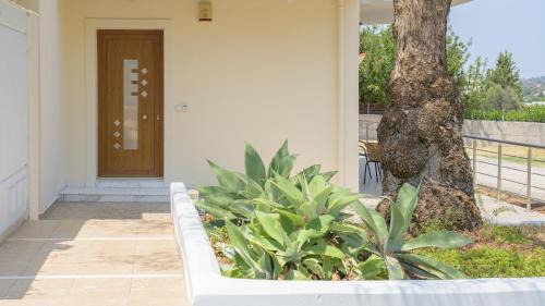 Faliraki House | Harmony House