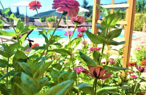 Parisata Apartment | Harvest Moon Apartments