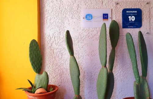 Aliartos Hotel | Helicon Muses Friendly Mountain B&B Guesthouse