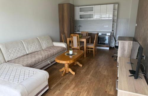 Grahovo Apartment | Herceg Novi Sunny Hill Apartment