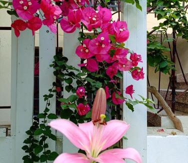 Agios Pavlos Apartment | Hermes Trykonos Garden Thessaloniki - Central Oasis with free parking