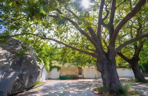 Erymanthos Municipality Villa | Hillside Hideaway mountain villa with views, shared terrace, and private garden