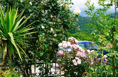 Radovici Apartment | Holiday apartment Radovici for 1 - 4 persons with 1 bedroom - Twin house