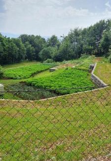 Cetinje House | Holiday Home Bjeloši