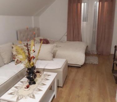 Drijenak Apartment | Holiday home BOŽUR