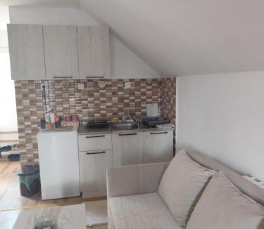 Drijenak Apartment | Holiday home BOŽUR