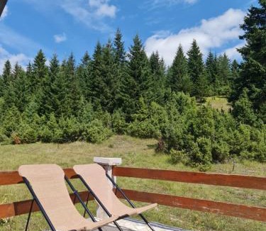 Razvrsje House | Holiday home Mountain