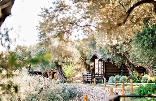 Ulcinj Resort | Holiday Park Olive Tree