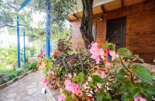 Himare Hotel | Holiwood
