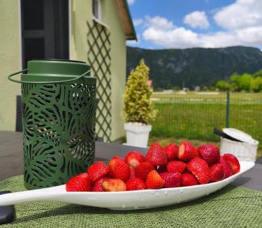 Savnik House | Home Delic Komarnica