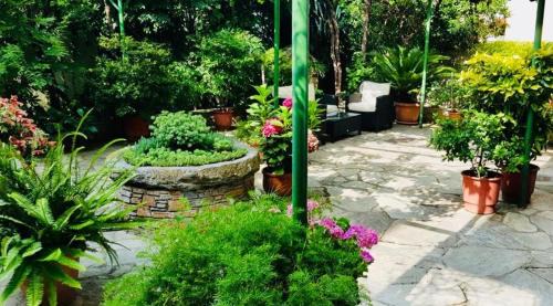 Kala Nera Hotel | Hotel Alkyon