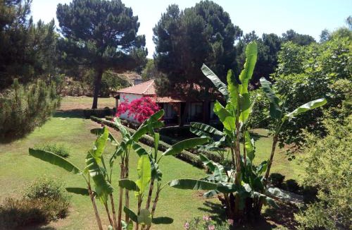 Pineios Bed & Breakfast | Hotel Dougas