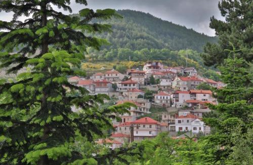Servia Hotel | Hotel Mitikas