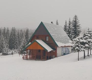 Zabljak Villa | House in forest