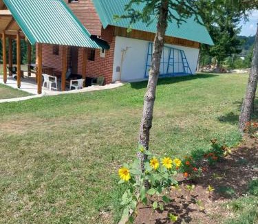 Zabljak Villa | House in forest