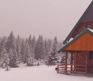 Zabljak Villa | House in forest