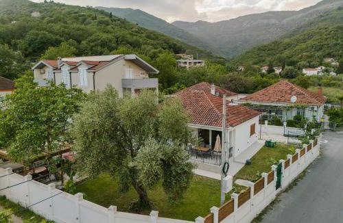 Bijela House | House Olive Tree