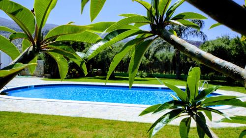 Malia Hotel | Ibiscus Hotel Malia