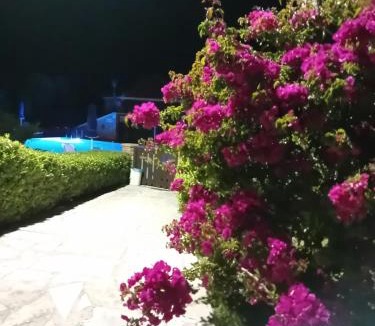 Ano Vasilikos Apartment | Ionio Holidays Katerina Apartments