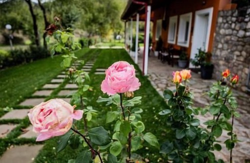 Kalavrita Apartment | Kalavrita Milodesi Country House, Mountain Retreat