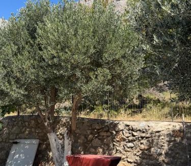 Mirties Hotel | Kaloniki Rooms & Suites
