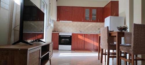 Psakoudia Apartment | Kardia Apartment