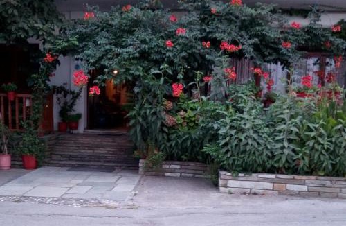 Zagora-Mouresi Hotel | Katerina