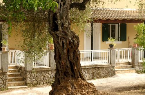 Agios Ioannis Apartment | Kidonakia Apartments