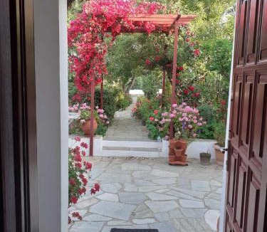 Apollonia Apartment | Kipos