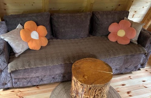 Savnik Ski Chalet | Komarnica Forest Owl 1