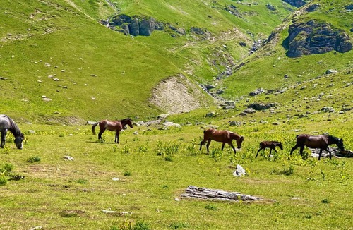 Diber Other | Korabi Mountain Camping