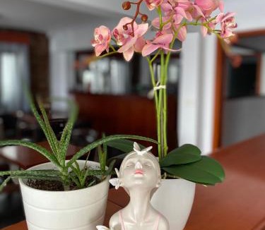 Katerini Hotel | Korali Hotel
