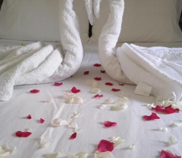 East Mani House | KOTRONAS FLOWER