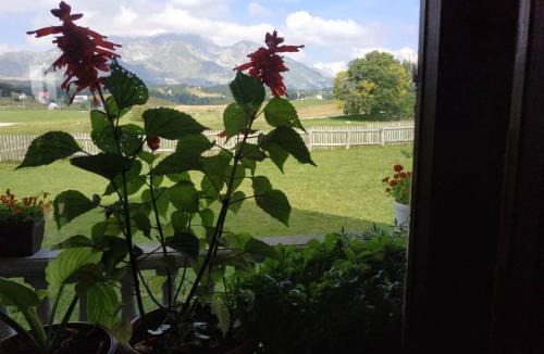 Zabljak House | Kovcica Rooms