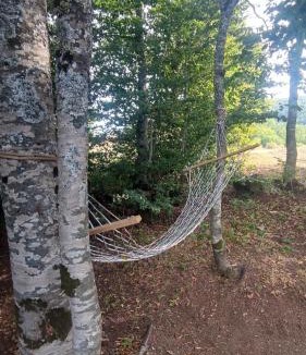 Savnik House | Krnovo Mountain Lodge
