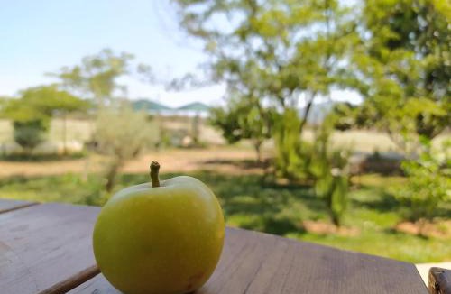 Nea Tirintha House | Ktima Anastasia Green Stay Nafplio