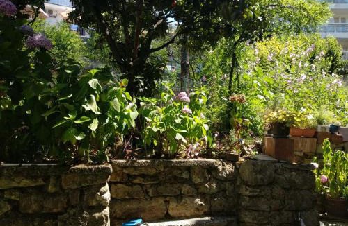 Herceg Novi House | Kuća Anka