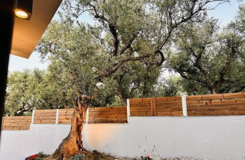 Agia Marina House | La casa di Bei-peaceful and secluded retreat with private pool- By Villa Mana Gers