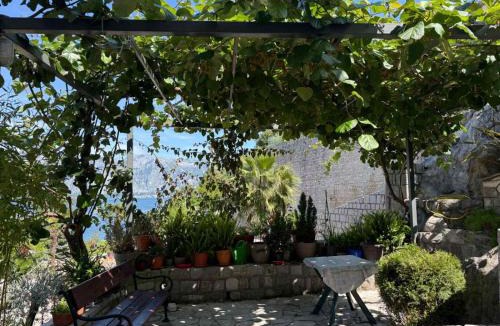 Donja Kostanjica Apartment | La Castagna Apartments