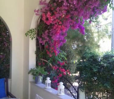 Saronikos House | Lagonissi Summer House