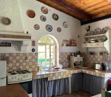 Dodosi House | Lake house Puro