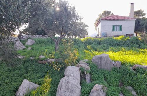 Pylos-Nestoras House | Lakoules
