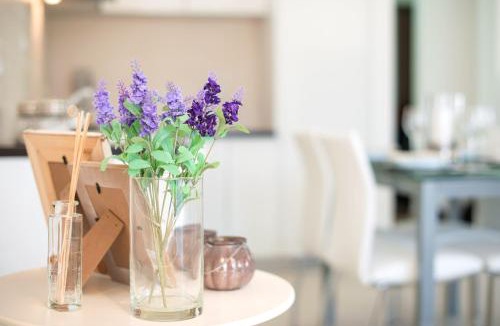 Donji Morinj Apartment | Lavender Bay Apartment B13